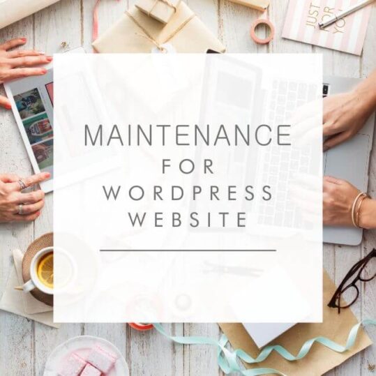 Maintenance for WordPress Website