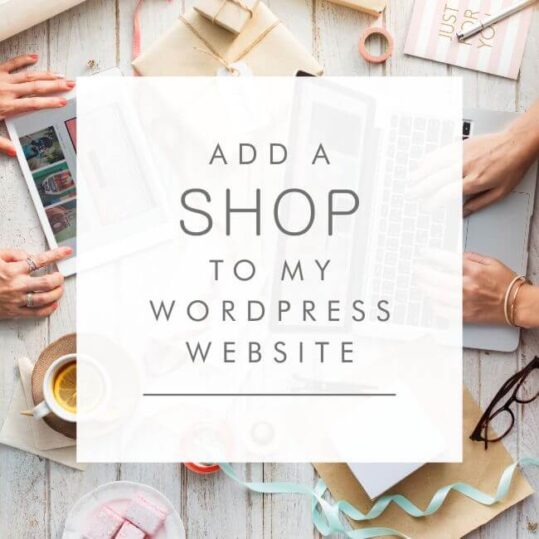 E-Commerce Add-On for Wordpress