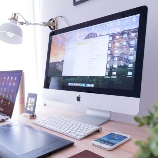 Brand + Website Package